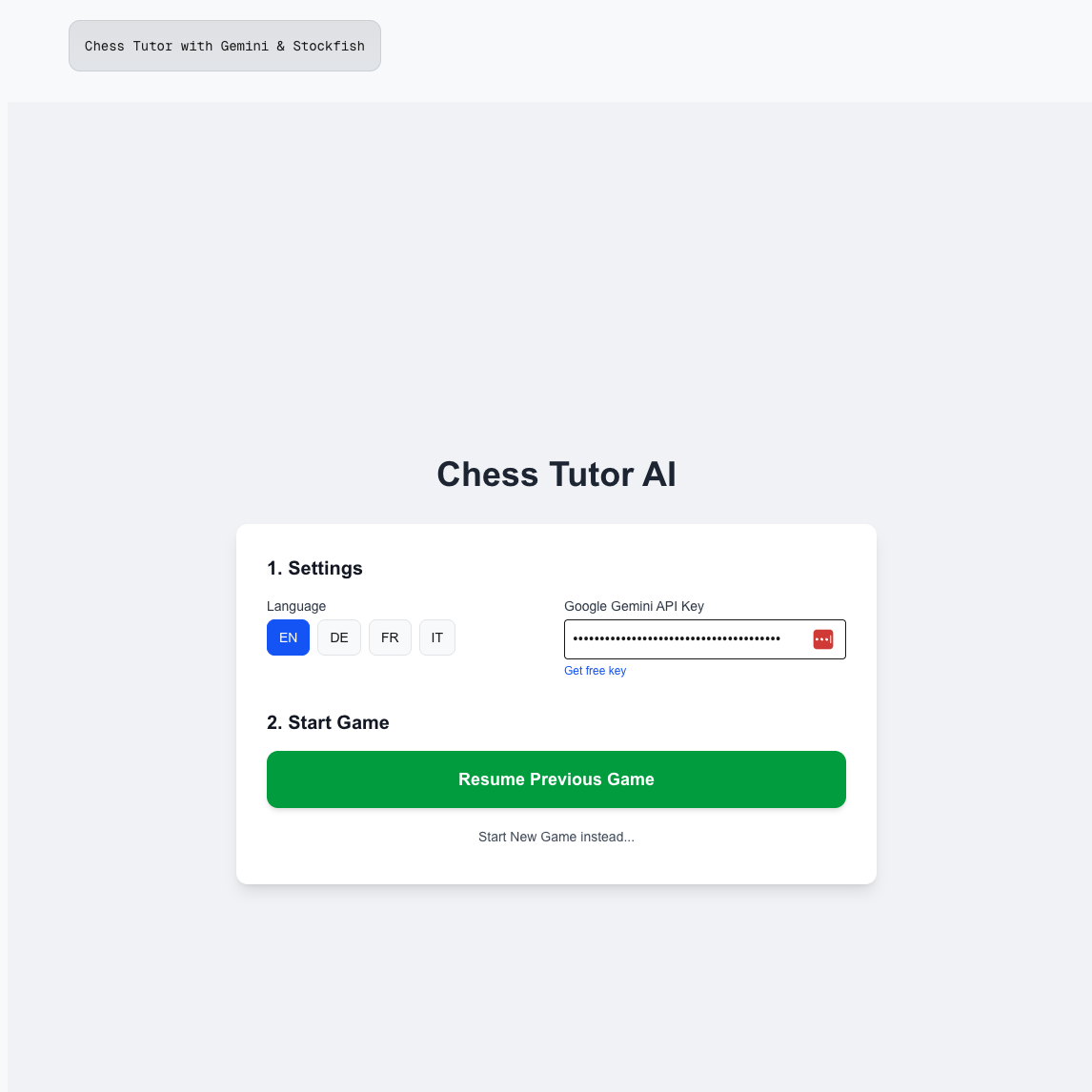 API Key Input Screenshot